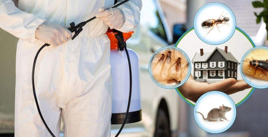 Lice Böcek İlaçlama