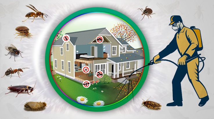 Lice Böcek İlaçlama