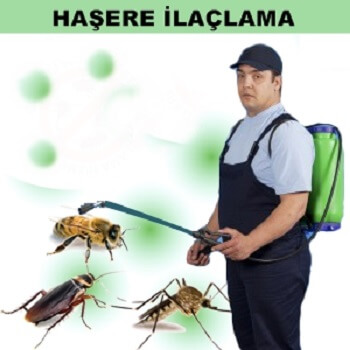 Lice Böcek İlaçlama